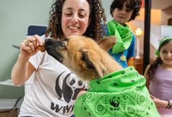 Julia Kurnik feeds a dog a treat made from invasive carp at the Humane Rescue Alliance in Washington DC