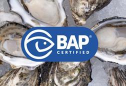 Yumbah Aquaculture BAP