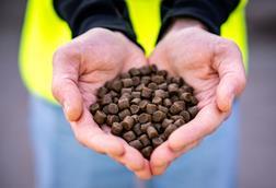 The picture shows a pair of hands shaped light a heart holding fish feed