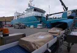 Offloading frozen Pacific cod, Alaska