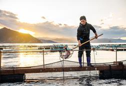 ASC certified red bream farm, Japan