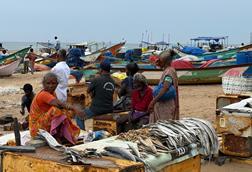 India small-scale fisheries