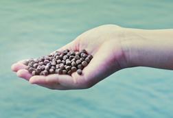 Fishmeal