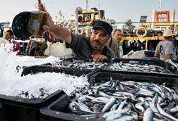 Picture shows a Black sea fisherman