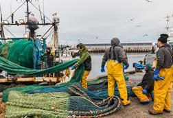 image of fishermen at Peterhead