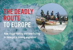 Image of a report by EJF about illegal fishing and overfishing in Senegal