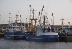 European fishing vessels