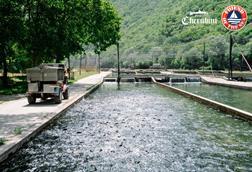 Troticoltura Cherubini achieves Friend of the Sea certification
