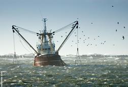 EU fishing vessel