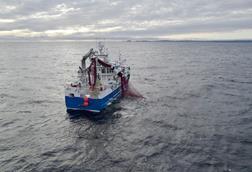 EU fisheries control