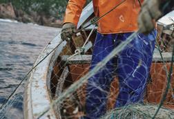 TCRS fish welfare grant