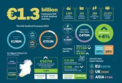 1Value of Irish seafood sector graphic
