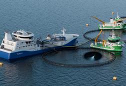 The image shows Trident Aqua Services aquaculture vessels on the water