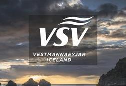 VSV