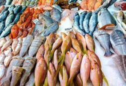 EU digital certification system