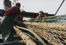 Mediterranean fishing