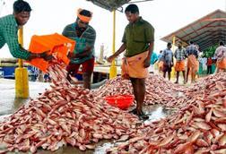 India fisheries