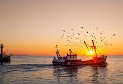 Belgium fishing boat