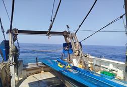 trawl doors