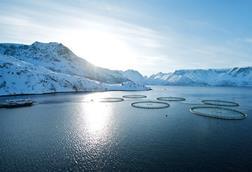 An image of a Norwegian fish farm