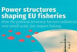 A screen shot of the front page of the new Seas at Risk study