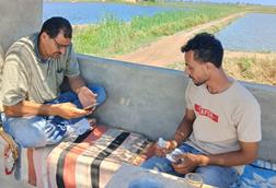 Two tilapia fishermen in Egypt accessing an app which helps improve welfare standards in aquaculture