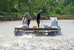 Fishermen in the Mekong delta in Vietnam