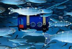 biomass_photooverlay_callout_final_2 (1)