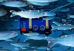 biomass_photooverlay_callout_final_2 (1)