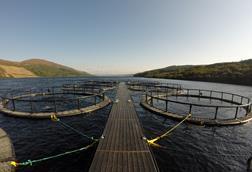 Scottish Sea Farms’ Loch Frisa site