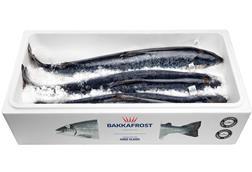 Bakkafrost salmon