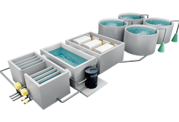 Recirculating aquaculture system