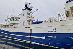 FHF/Cetus
