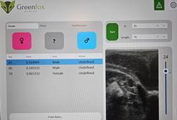 GreenFox Marine medical ultrasound