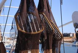 Australia Northern Prawn - Turtle Exclusion Devices