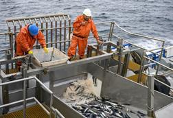 Chile fisheries