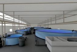 three-sixty-aquaculture-ras-facility-1