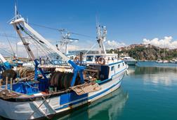 Fishing trawler moored in harbour, Agropoli, Campania, Italy