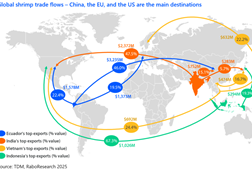 The image shows a shrimp market flow diagram visual
