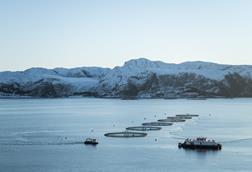 salmon pens at sea with low snow-capped mountains behind