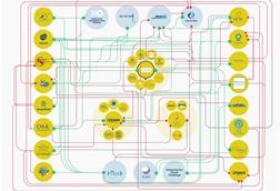 NGO funding model