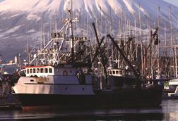 Trump signs seafood industry Executive Order