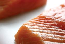 The Salmon Council aims to improve US marketing of the fish