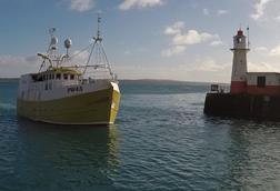 UK fishing