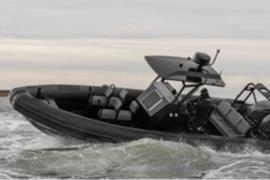 Gemini 880 RIB