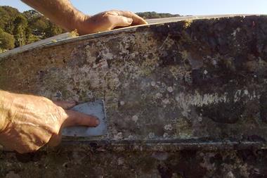 Boat_fouling_organisms_(4875279836)