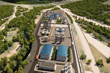 Reolum's La Robla Green plant