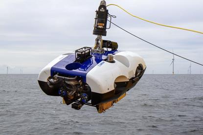 1 BeeX OI 2026 Press Release