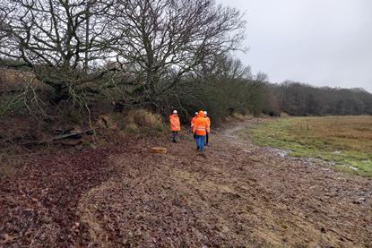 The image shows the BUDS project team on the foreshore of the Stour Estuary