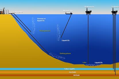 Image of carbon capture at sea process